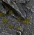 2mm-dark-moss-tiny-tufts.jpg