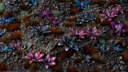 gamers-grass-laser-plants-alien-rosette-kosmiczna-rozeta.jpg