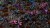 gamers-grass-laser-plants-alien-rosette-kosmiczna-rozeta.jpg