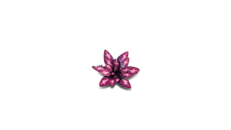 gamers-grass-laser-plants-alien-rosette-kosmiczna-rozeta2.jpg
