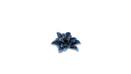 gamers-grass-laser-plants-alien-rosette-kosmiczna-rozeta-zawartosc.jpg