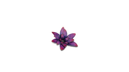 gamers-grass-laser-plants-alien-rosette-kosmiczna-rozeta-zawartosc-3.jpg