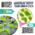martian-fluor-tufts-fluor-grinch-green.jpg