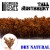 tall-shrubbery-dry-natural.jpg