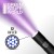 ultraviolet-torch5.jpg