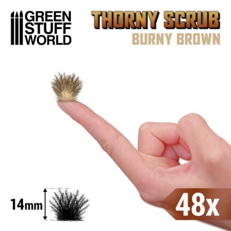 thorny-scrubs-burny-brown-spiky-tuft2.jpg