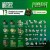 basing-sets-forest2.jpg