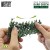 ivy-foliage-dark-green-oak-large2.jpg