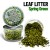 leaf-litter-natural-leaves-spring-green.jpg