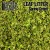 leaf-litter-natural-leaves-spring-green2.jpg