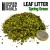 leaf-litter-natural-leaves-spring-green3.jpg