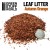 leaf-litter-natural-leaves-autumn-orange3.jpg