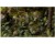 gamers-grass-laser-plants-bracken-paproc.jpg