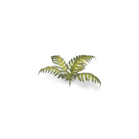 gamers-grass-laser-plants-bracken-paproc-set.jpg