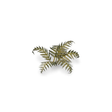 gamers-grass-laser-plants-bracken-paproc-sets.jpg