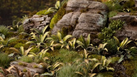 gamers-grass-laser-plants-deer-fern-podrzen-zebrowiec.jpg