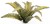 gamers-grass-laser-plants-deer-fern-podrzen-zebrowiec-flower.jpg
