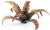 gamers-grass-laser-plants-alien-fern-paproc-kosmiczna-set.jpg