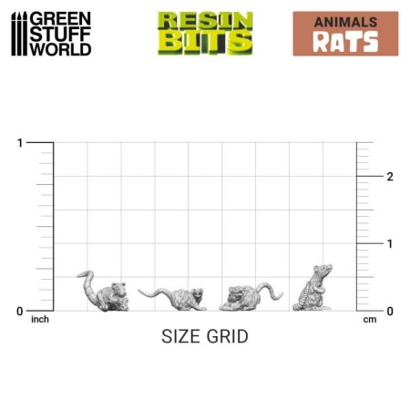 small-rats-gsw.jpg