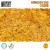 dungeon-dnd-coins-gsw.jpg