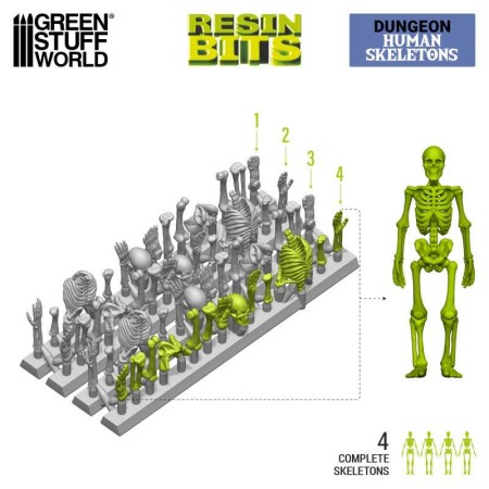 3d-printed-set-human-skeletons-1-35-gsw.jpg