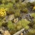 gamers-grass-highland-tuft-set.jpg