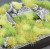gamers-grass-green-meadow-set.jpg