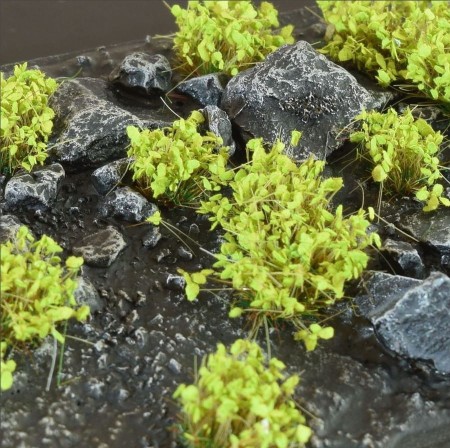 green-shrub-tufts (1).jpg