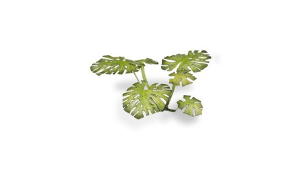 gamers-grass-laser-plants-monstera-zawartosc.jpg