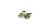 gamers-grass-laser-plants-monstera-zawartosc-3.jpg