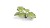 gamers-grass-laser-plants-monstera-zawartosc-2.jpg