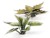 plantain-lily-3_1600x900.jpg