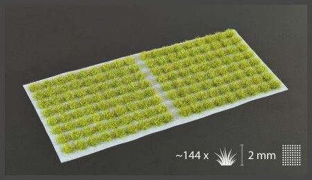2mm-moss-tufts.jpg