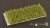 12mm-spikey-green-tufts.jpg