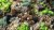 gamersgrass-toxic-waste-set-tufts.jpg