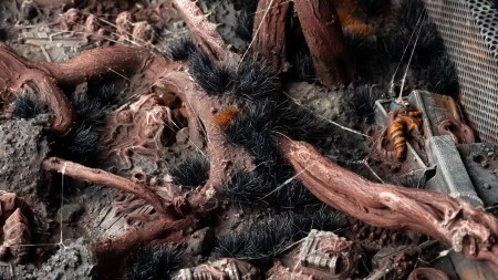 gamersgrass-tufts-6-mm-alien-void.jpg