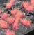 gamers-grass-alien-pink-6mm.jpg