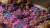 gamers-grass-alien-neon-2-mm.jpg