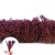 ShrubberyRed.jpg