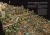 DTM1051-5.webp