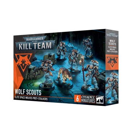 Warhammer 40k: Kill Team -  Wolf Scouts