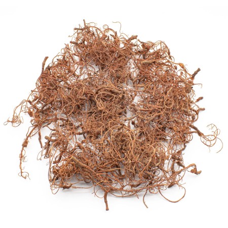 diorama-tree-roots.jpg
