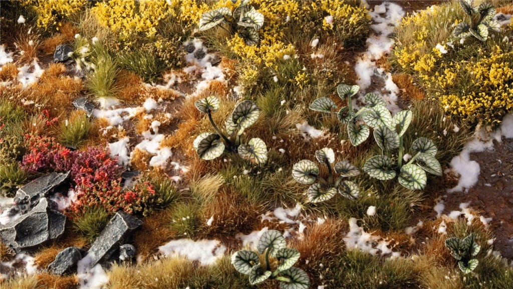 gamers-grass-laser-plants-bugloss (2).jpg